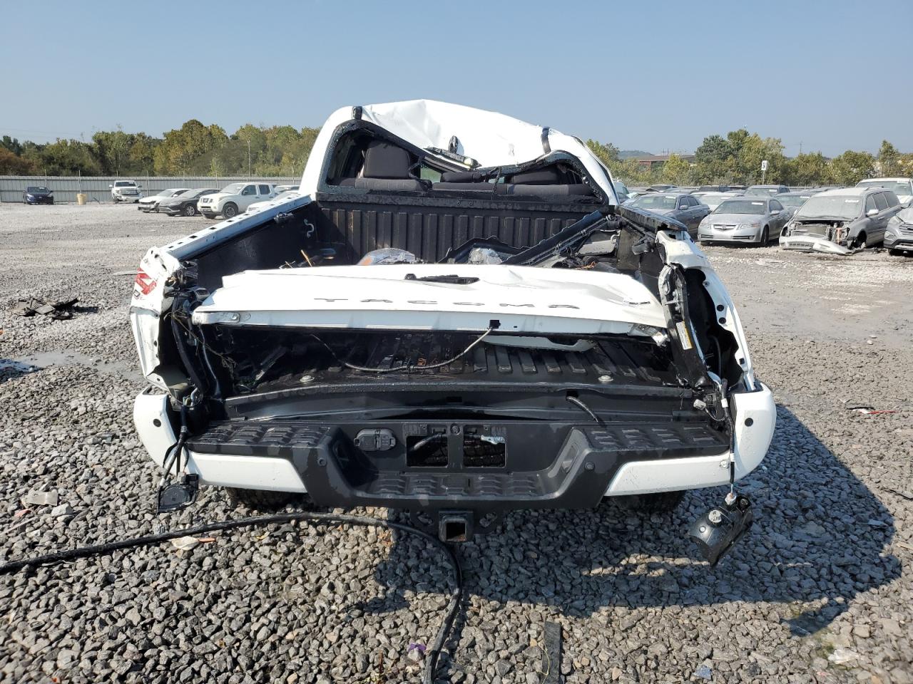 2023 Toyota Tacoma Double Cab VIN: 3TMCZ5ANXPM620999 Lot: 81008595