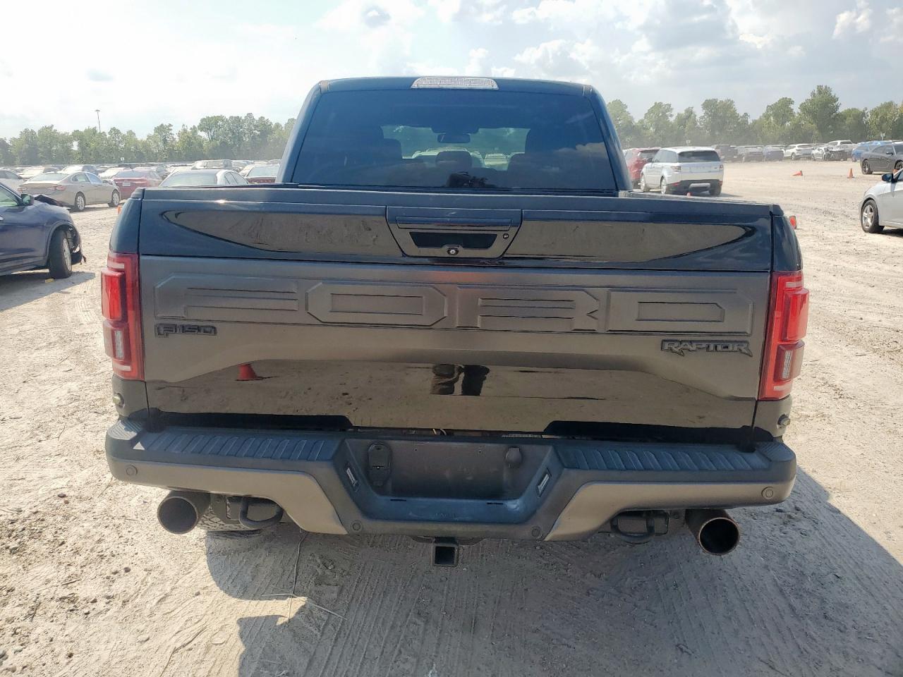2017 Ford F150 Raptor VIN: 1FTFW1RG3HFB73924 Lot: 71773275
