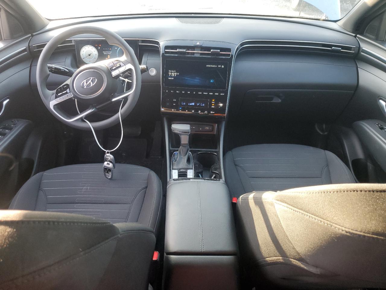 2024 Hyundai Santa Cruz Sel VIN: 5NTJCDDE7RH113101 Lot: 80550655