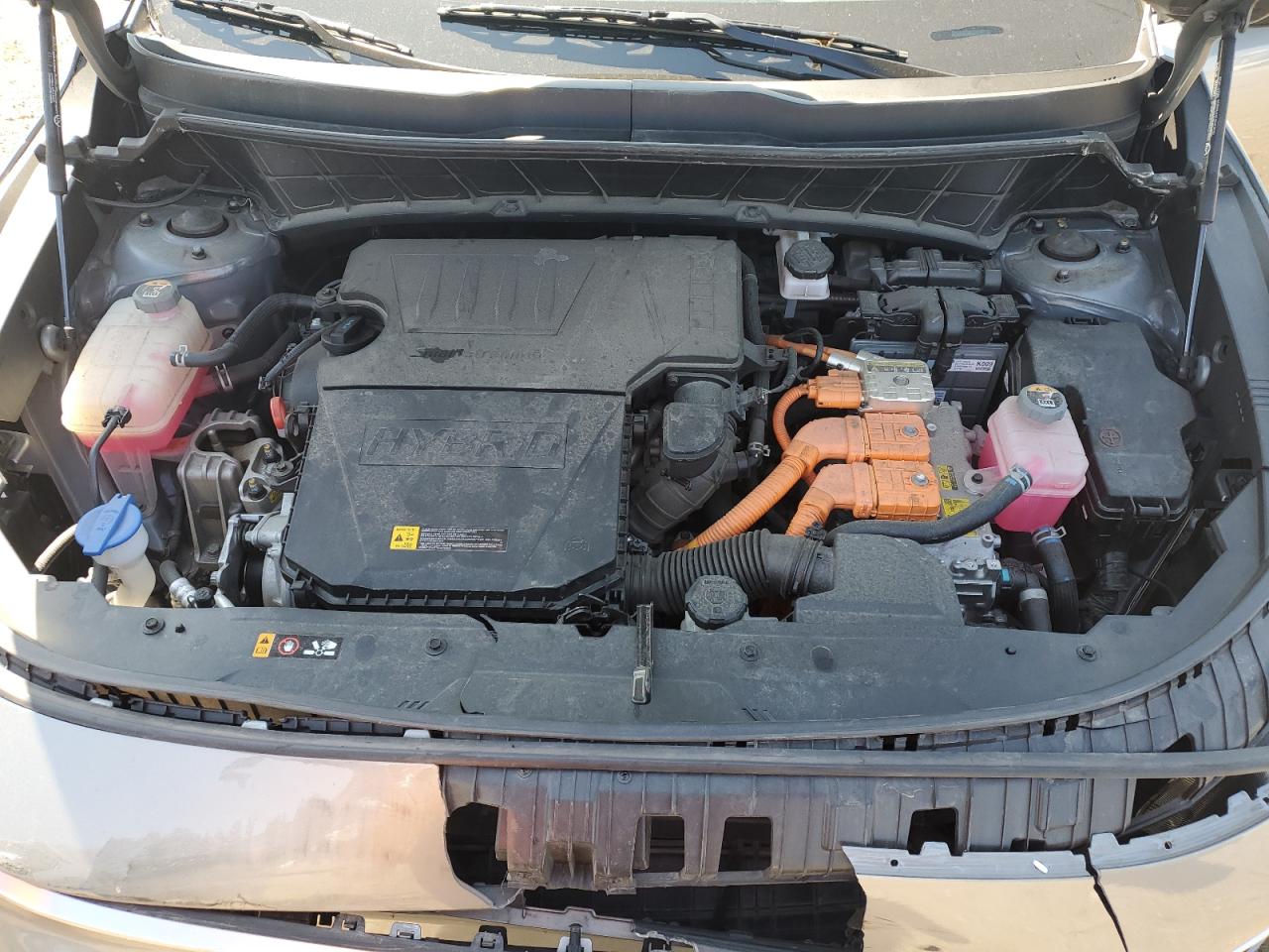 2024 Kia Niro Ex VIN: KNDCR3LE2R5160568 Lot: 71704145