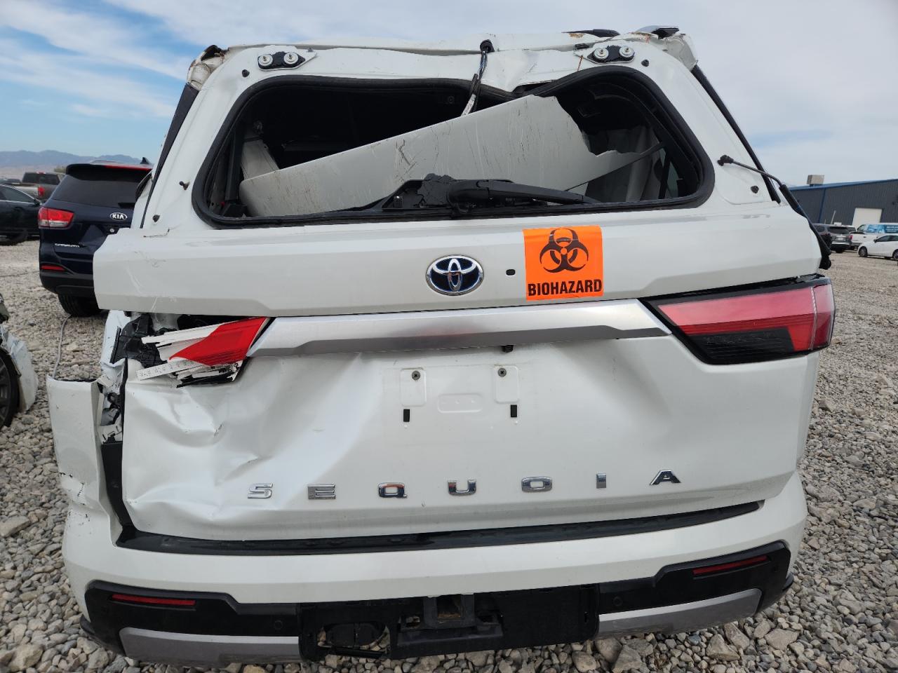 2023 Toyota Sequoia Sr5 VIN: 7SVAAABA8PX017066 Lot: 81013225