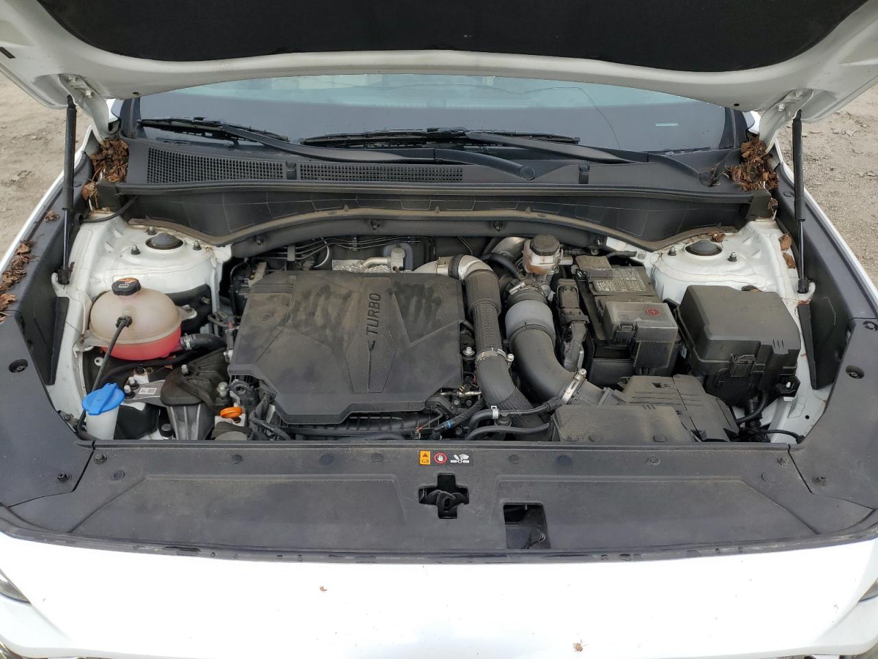 2021 Hyundai Santa Fe Limited VIN: 5NMS44AL9MH318895 Lot: 84032785