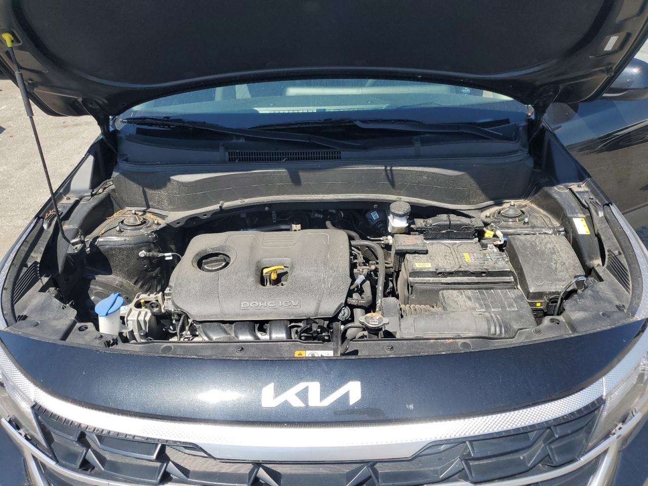 2024 Kia Seltos Lx VIN: KNDEPCAA4R7565933 Lot: 71985695