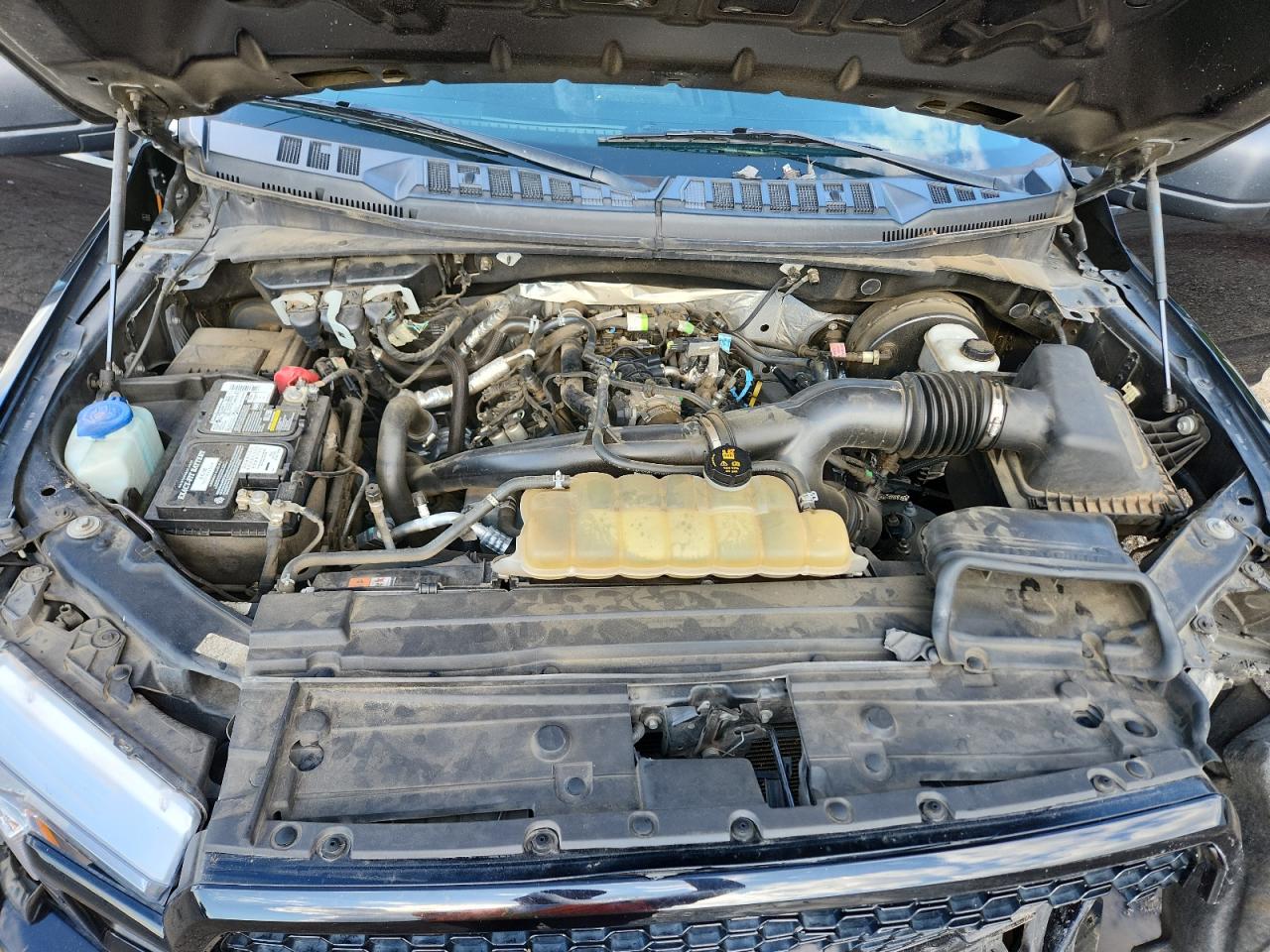 2019 Ford F150 Supercrew VIN: 1FTEW1CP2KKD23668 Lot: 84385705