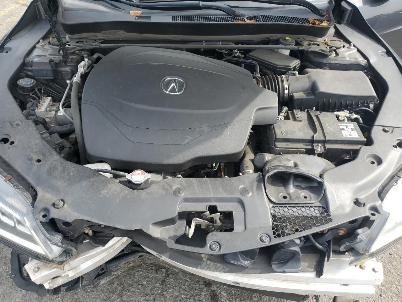 2016 Acura Tlx Tech VIN: 19UUB3F51GA003009 Lot: 81913025