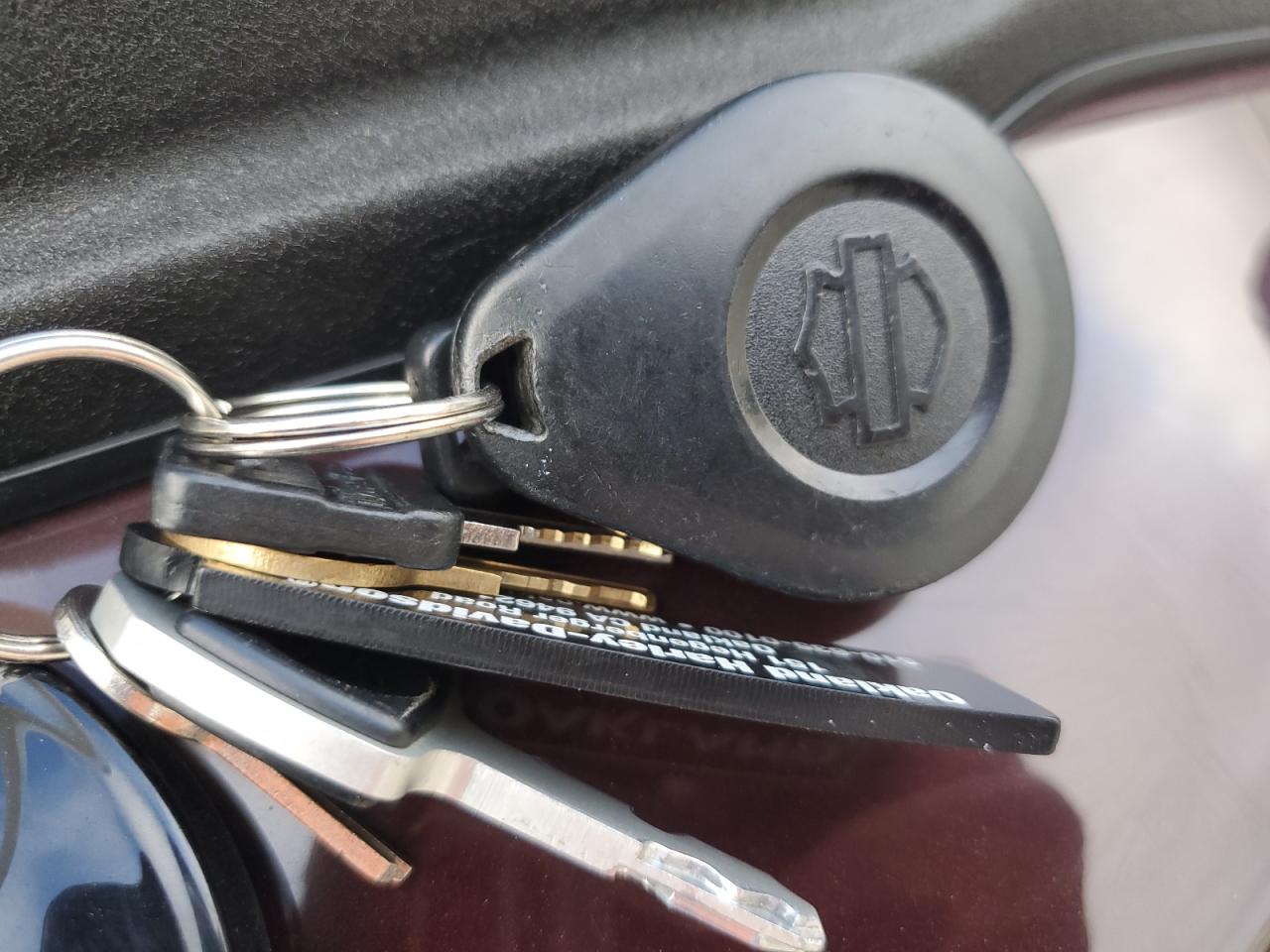 2021 Harley-Davidson Fxlrs VIN: 1HD1YWK23MB012554 Lot: 71733165