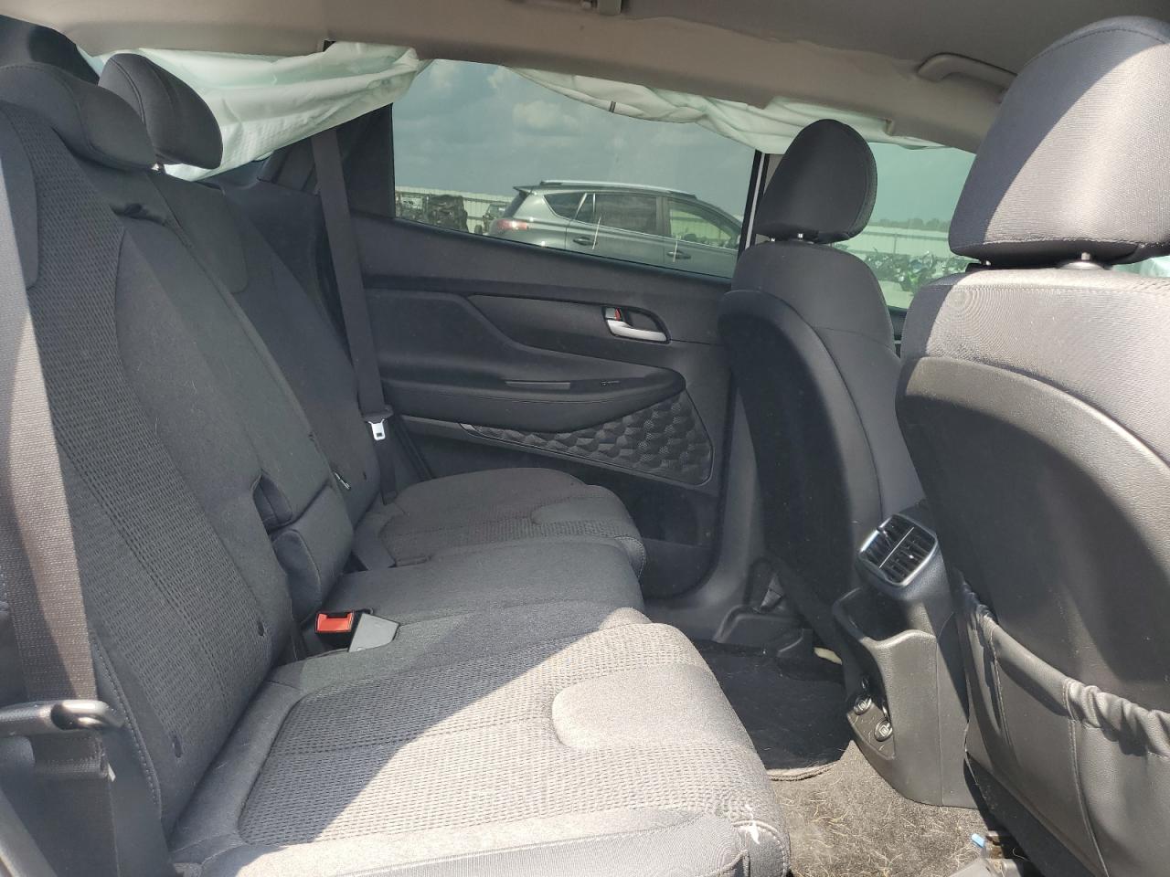 2020 Hyundai Santa Fe Sel VIN: 5NMS3CAD3LH214259 Lot: 80148595