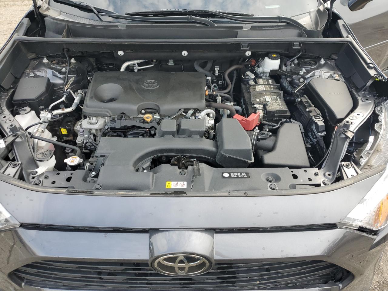 2020 Toyota Rav4 Xle VIN: 2T3P1RFV8PW391326 Lot: 82143265