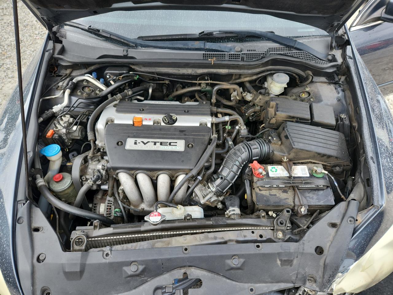 2006 Honda Accord Ex VIN: 1HGCM56806A110742 Lot: 81889705