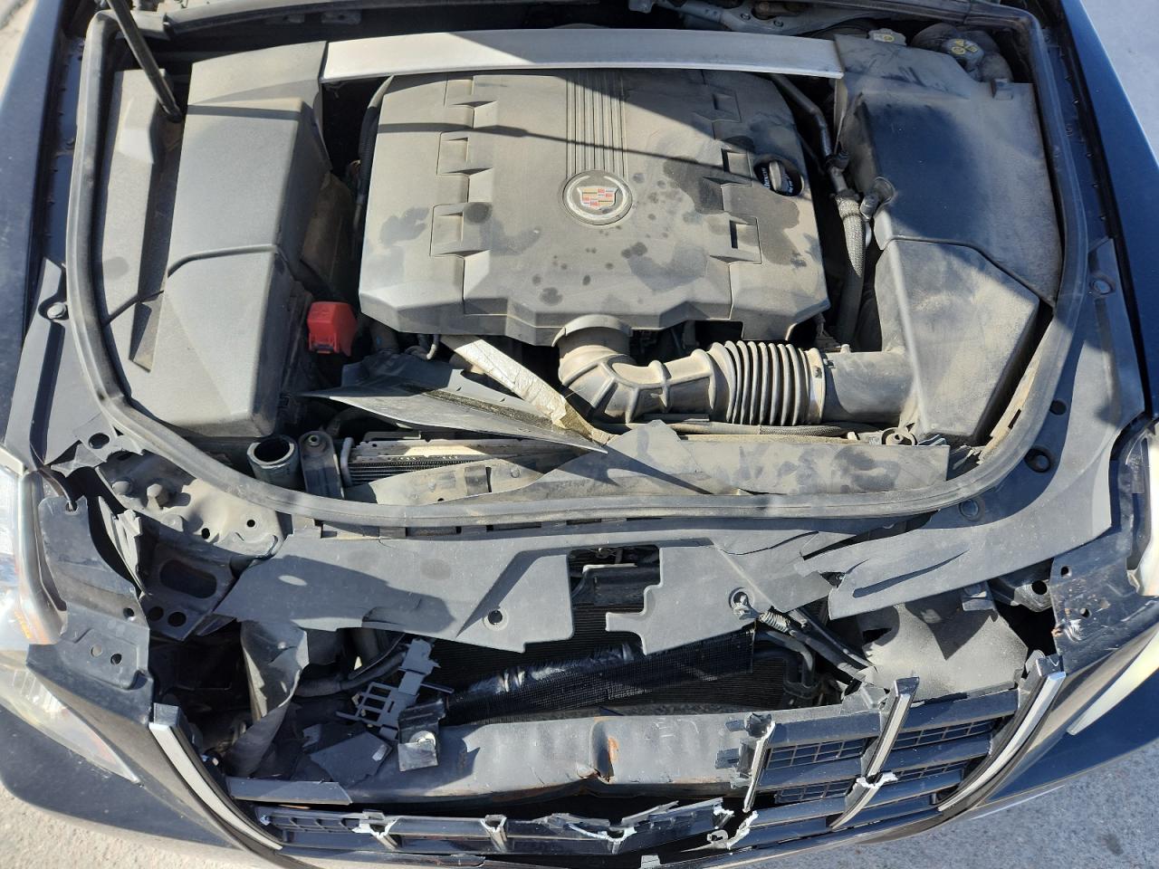 2013 Cadillac Cts Premium Collection VIN: 1G6DS1E32D0126566 Lot: 81748735