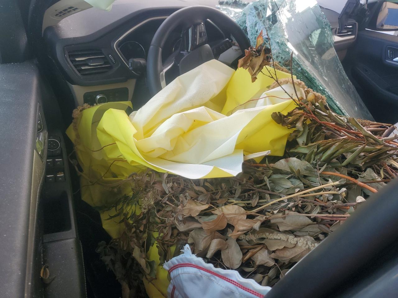 2021 Ford Escape Sel VIN: 1FMCU9CZ6MUA90670 Lot: 72050525