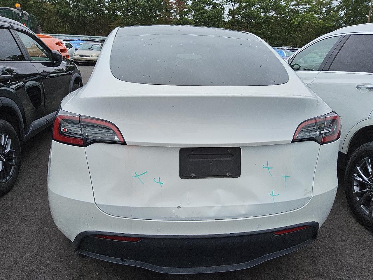 2022 Tesla Model Y VIN: 7SAYGAEE9NF389659 Lot: 80470085