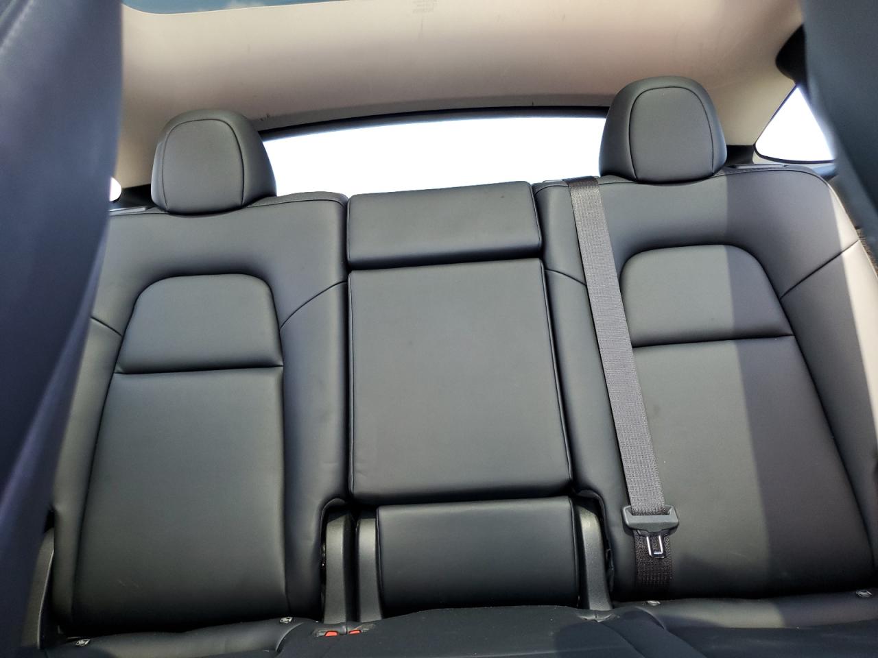 2023 Tesla Model Y VIN: 7SAYGDEE4PF865241 Lot: 70080845