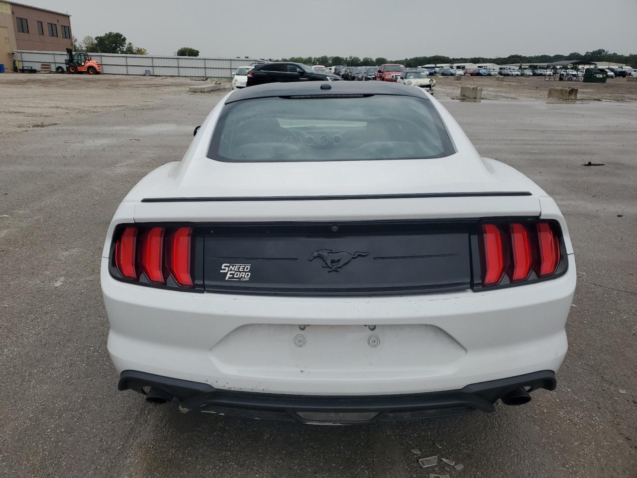 2019 Ford Mustang VIN: 1FA6P8THXK5143331 Lot: 81428935