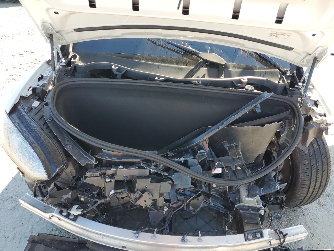 2023 Tesla Model X VIN: 7SAXCAE51PF384515 Lot: 80551355