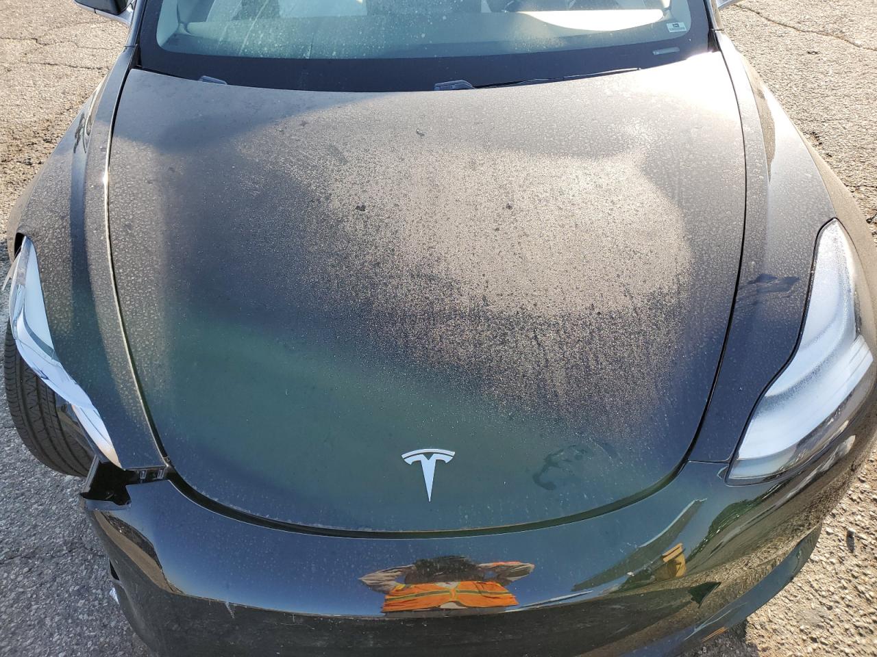 2019 Tesla Model 3 VIN: 5YJ3E1EB1KF213672 Lot: 84233205