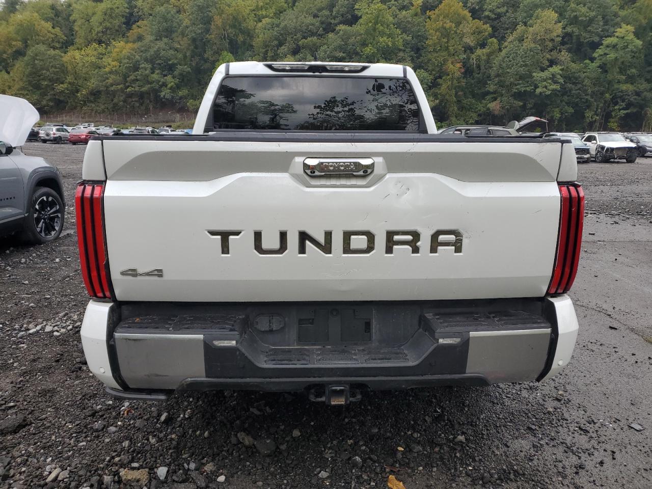 2022 Toyota Tundra Crewmax Capstone VIN: 5TFVC5DB1NX009536 Lot: 84261815