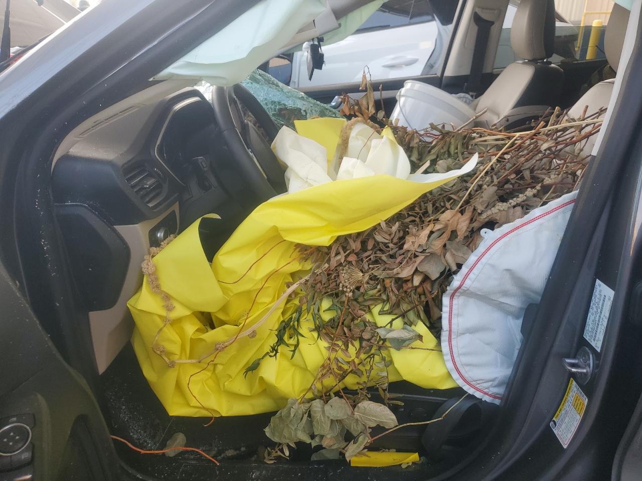 2021 Ford Escape Sel VIN: 1FMCU9CZ6MUA90670 Lot: 72050525