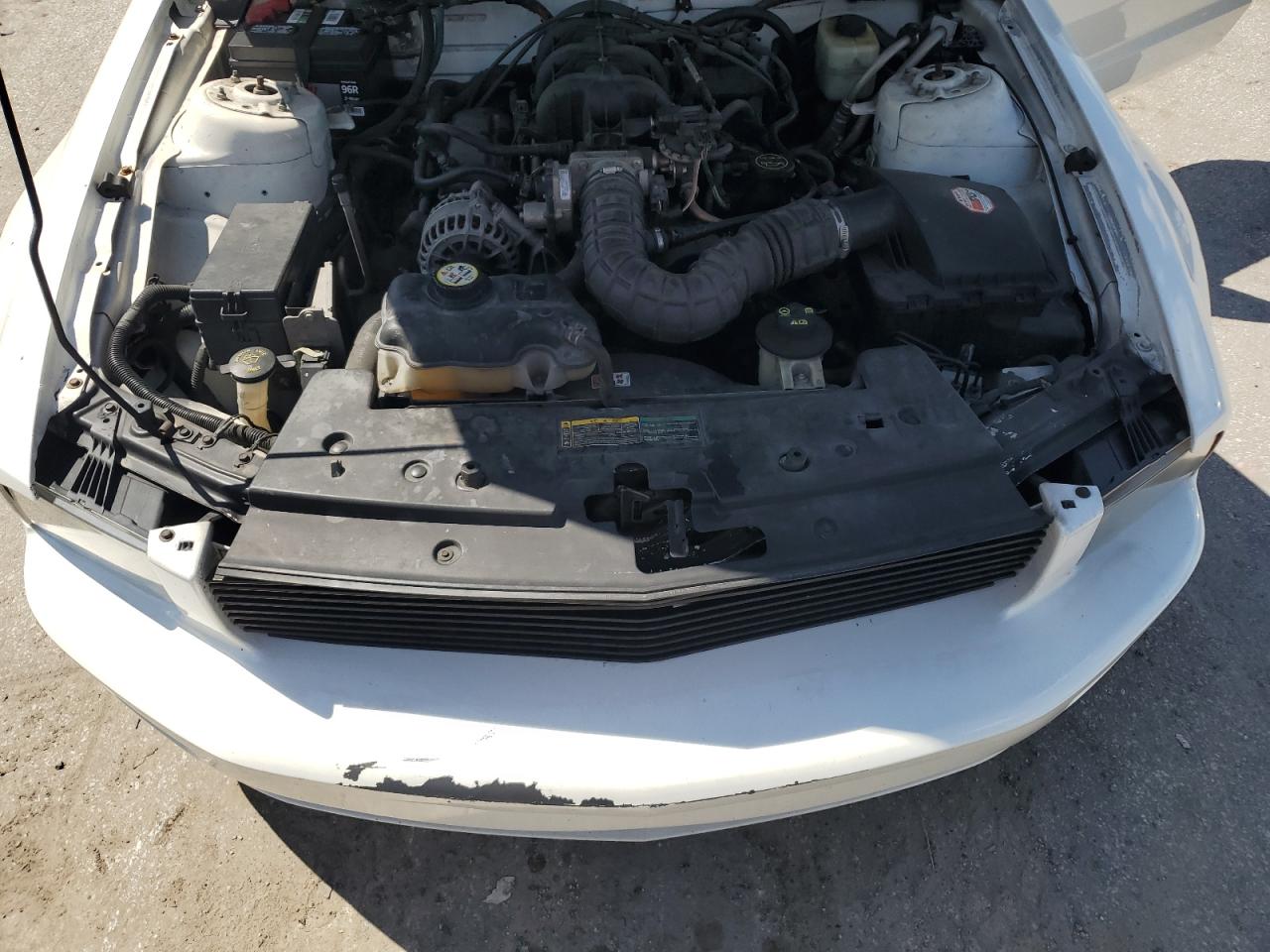 2007 Ford Mustang VIN: 1ZVHT80N175240978 Lot: 81753795