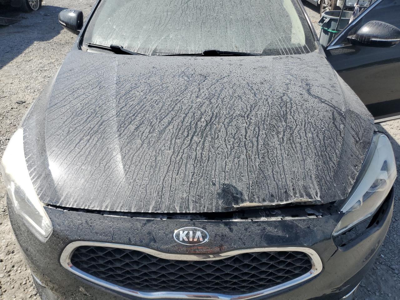 2014 Kia Cadenza Premium VIN: KNALN4D72E5163768 Lot: 70603485