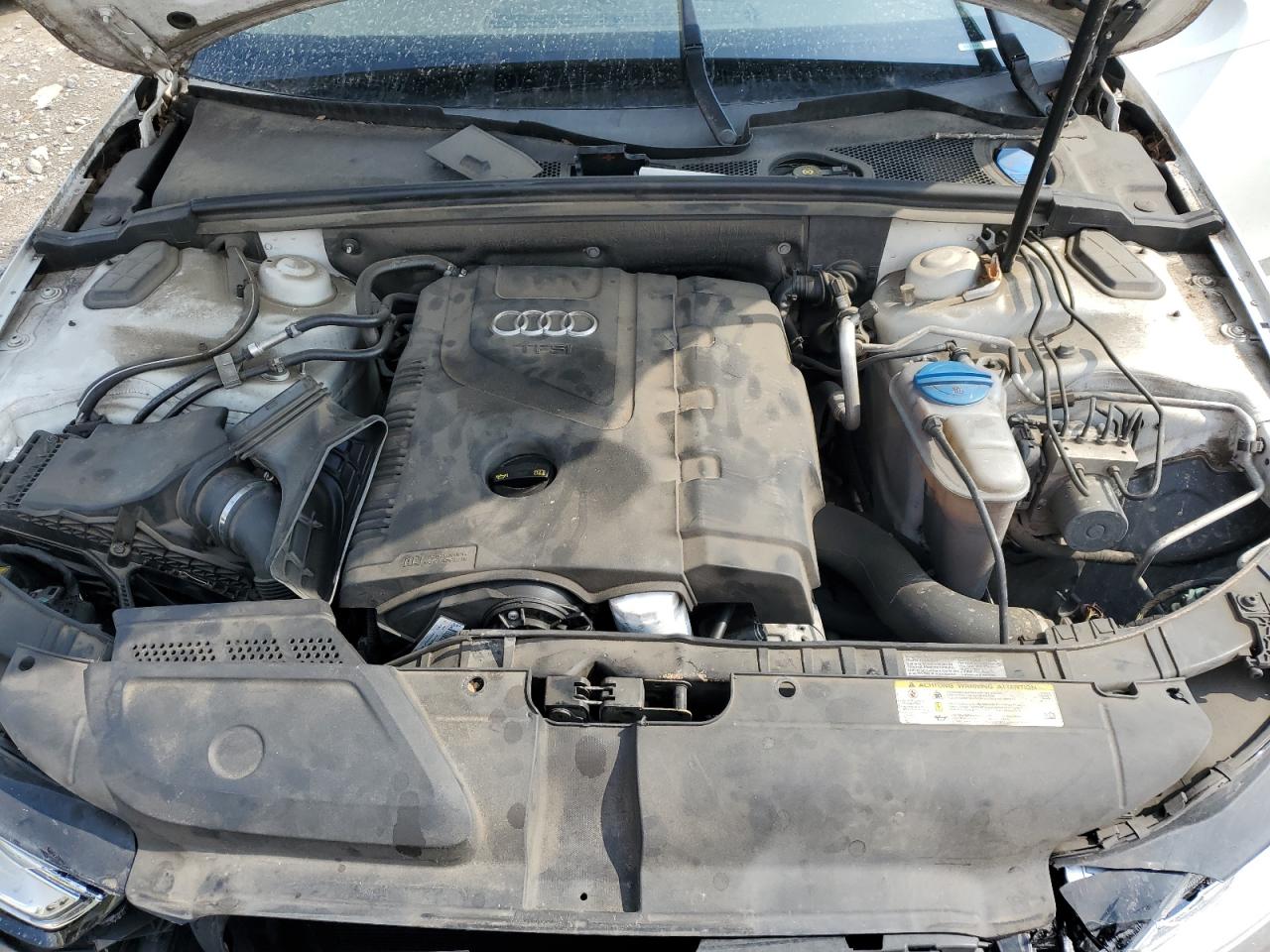 2014 Audi A4 Premium Plus VIN: WAUFFAFL1EN012262 Lot: 81694525