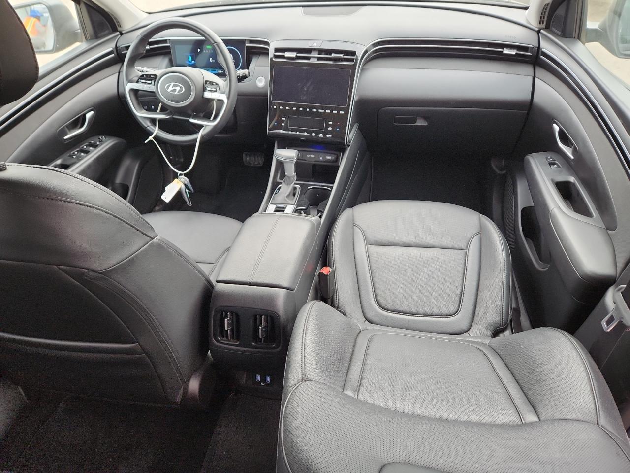 2024 Hyundai Tucson Sel VIN: 5NMJF3DE5RH378550 Lot: 81567475