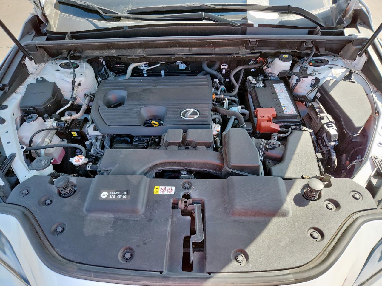 2022 Lexus Nx 250 VIN: JTJGDCAZ7N5004846 Lot: 80493405