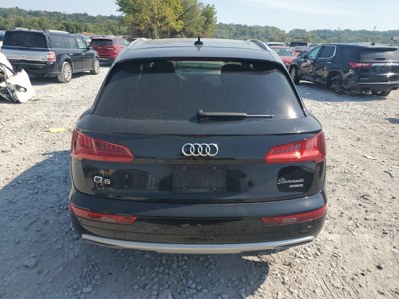 2019 Audi Q5 Premium Plus VIN: WA1BNAFY6K2053008 Lot: 81064255
