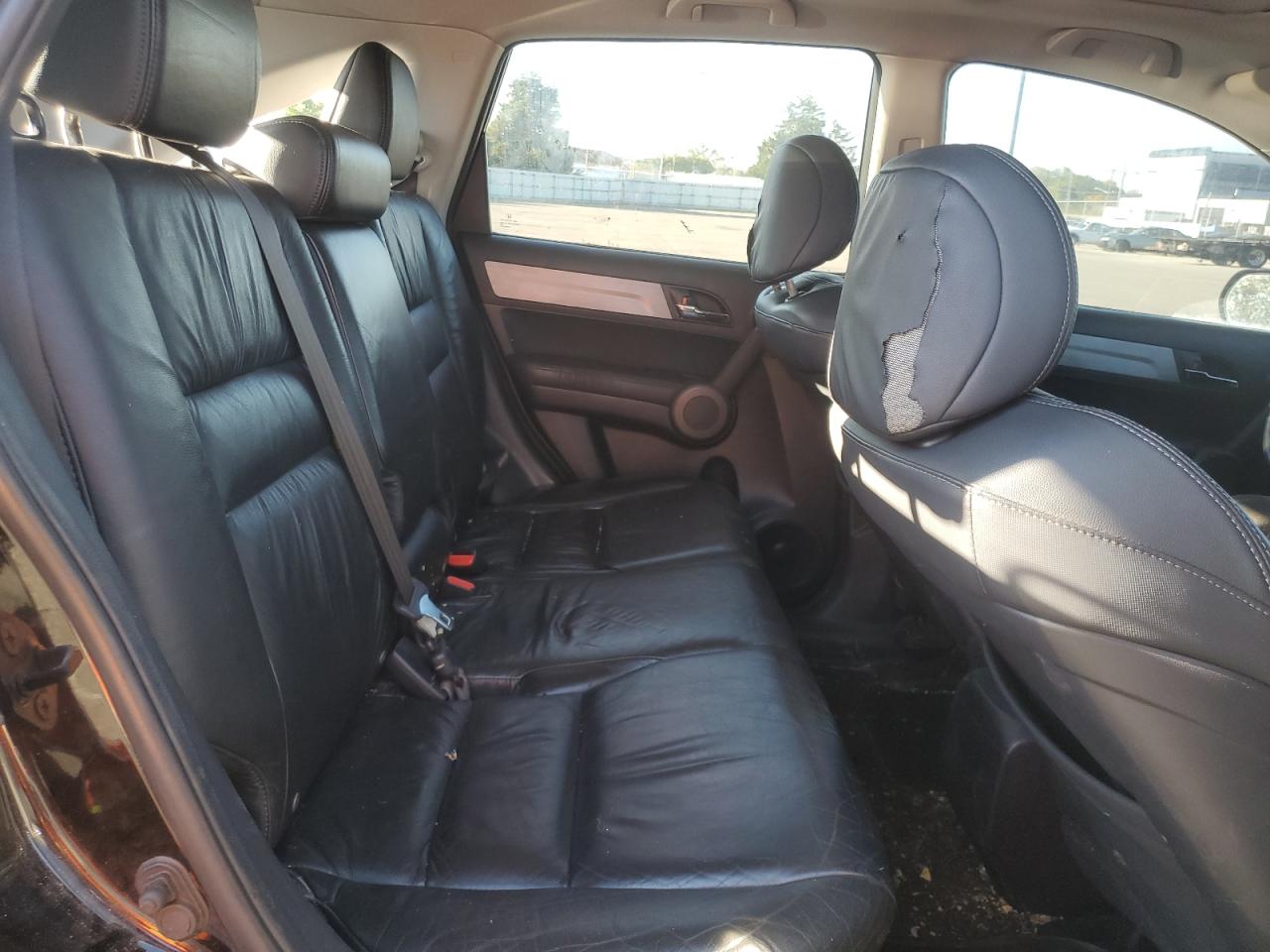2010 Honda Cr-V Exl VIN: 5J6RE4H79AL048463 Lot: 81865635