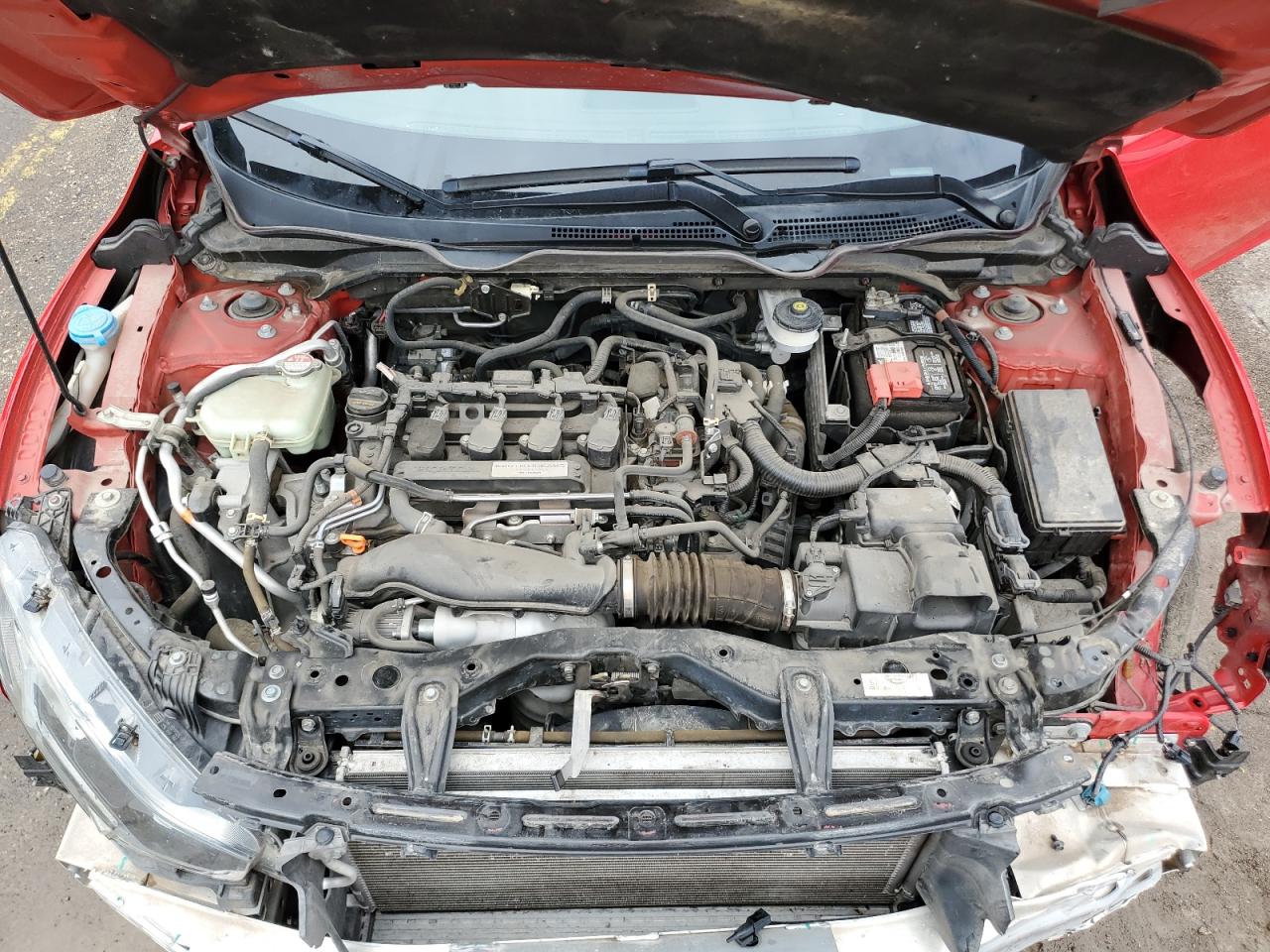 2019 Honda Civic Si VIN: 2HGFC1E59KH702667 Lot: 81283565