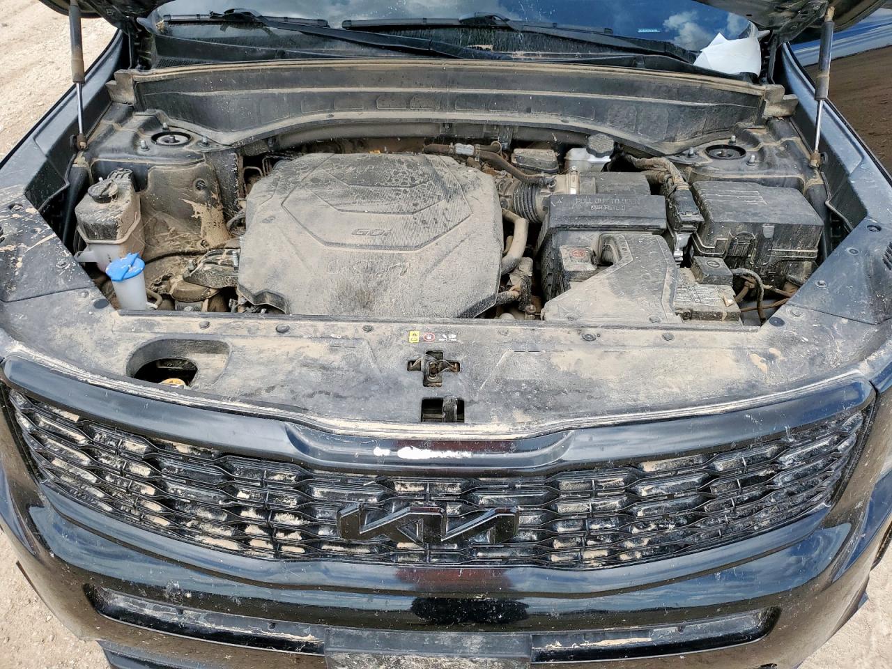 2022 Kia Telluride S VIN: 5XYP6DHC7NG250582 Lot: 81134345