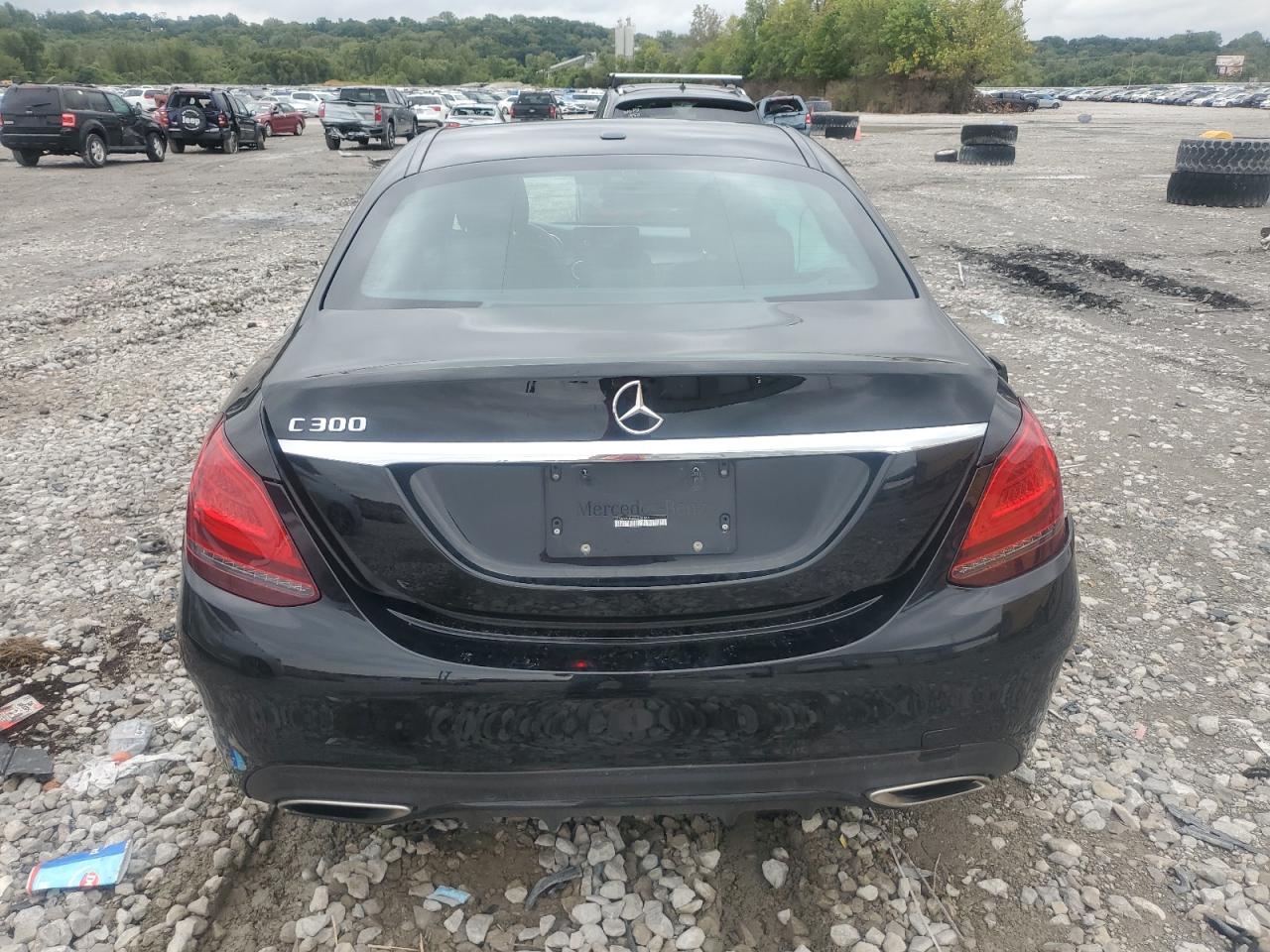 2019 Mercedes-Benz C 300 VIN: 55SWF8DB6KU300860 Lot: 83764805