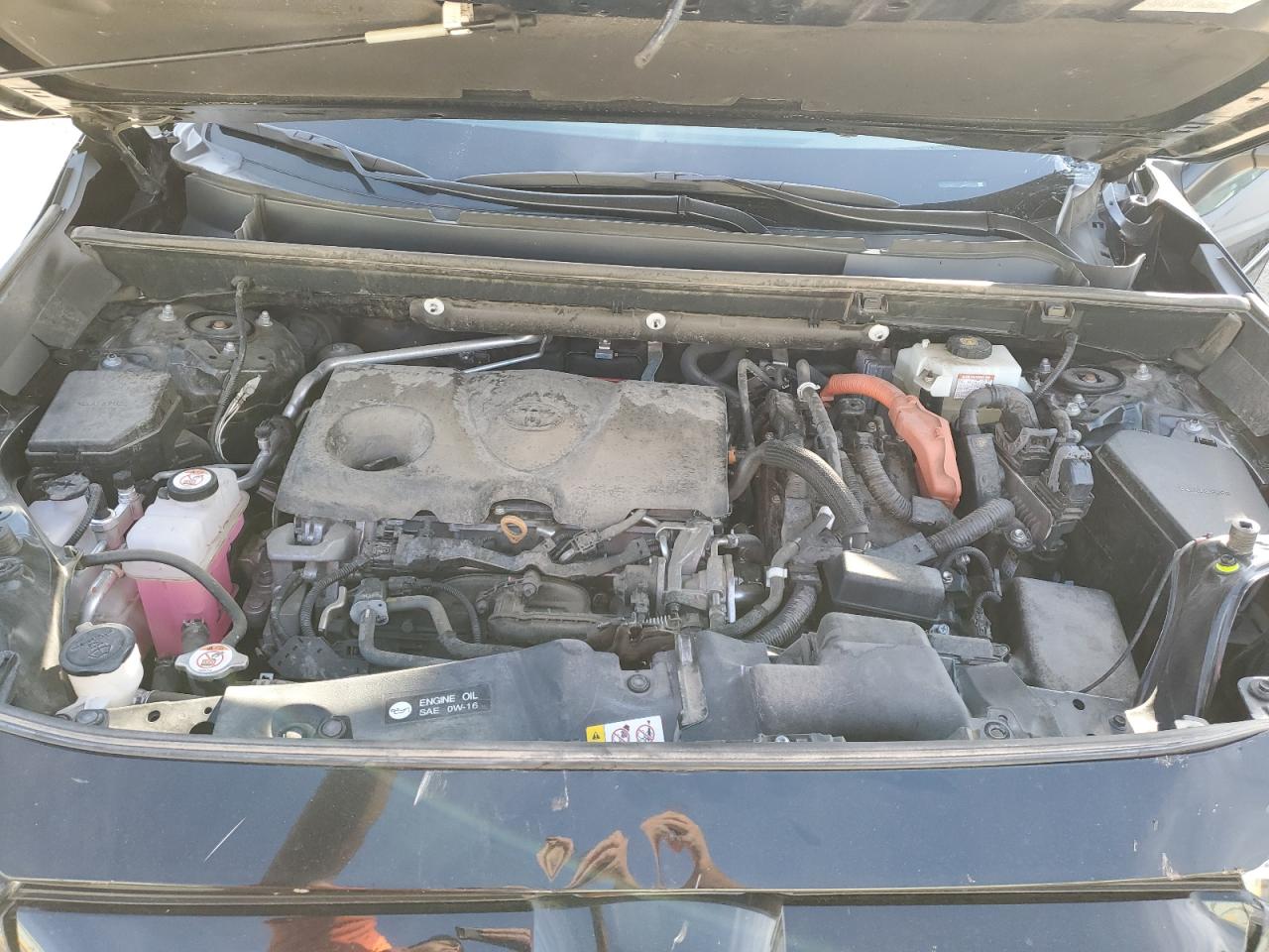 2020 Toyota Rav4 Xle VIN: 2T3RWRFV2LW066224 Lot: 84442055