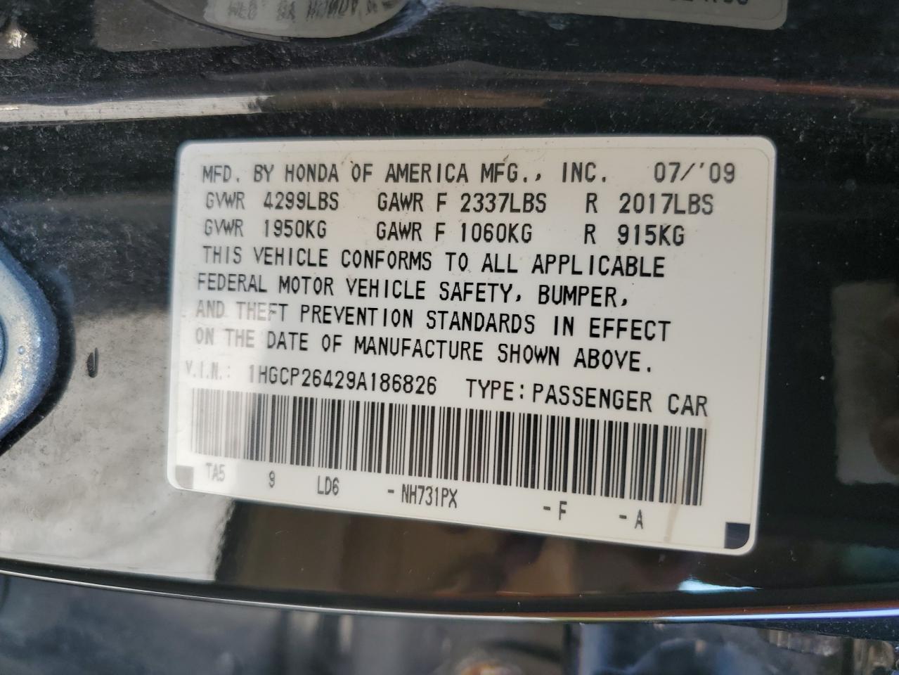 2009 Honda Accord Lxp VIN: 1HGCP26429A186826 Lot: 80958135