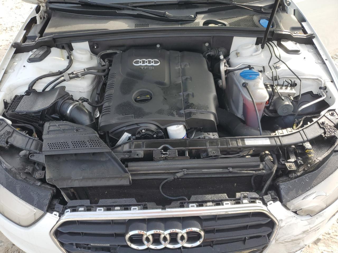 2016 Audi A4 Premium Plus S-Line VIN: WAUFFAFL6GN013135 Lot: 84242065