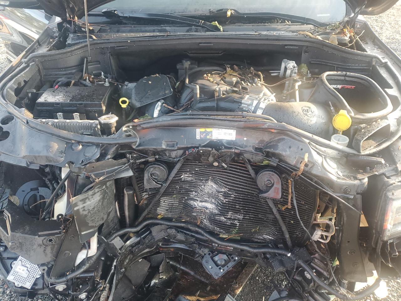 2017 Jeep Grand Cherokee Srt-8 VIN: 1C4RJFDJ9HC645783 Lot: 81037905