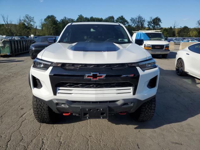  CHEVROLET COLORADO 2023 White