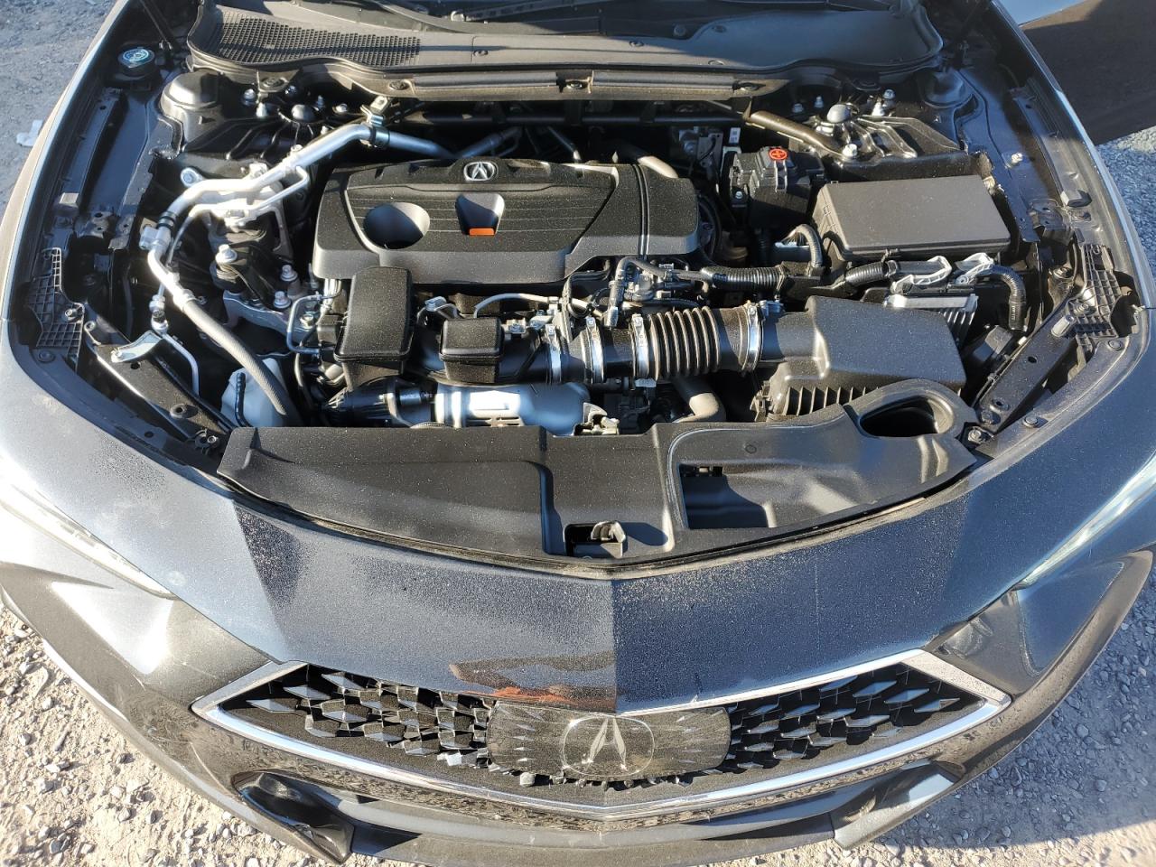2022 Acura Tlx VIN: 19UUB6F32NA001699 Lot: 71836275