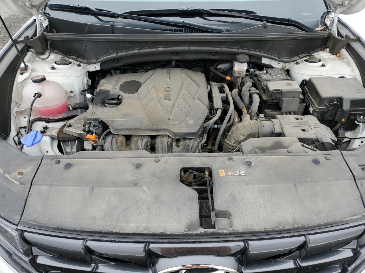 2024 Hyundai Tucson Sel VIN: 5NMJBCDE6RH398155 Lot: 81000545