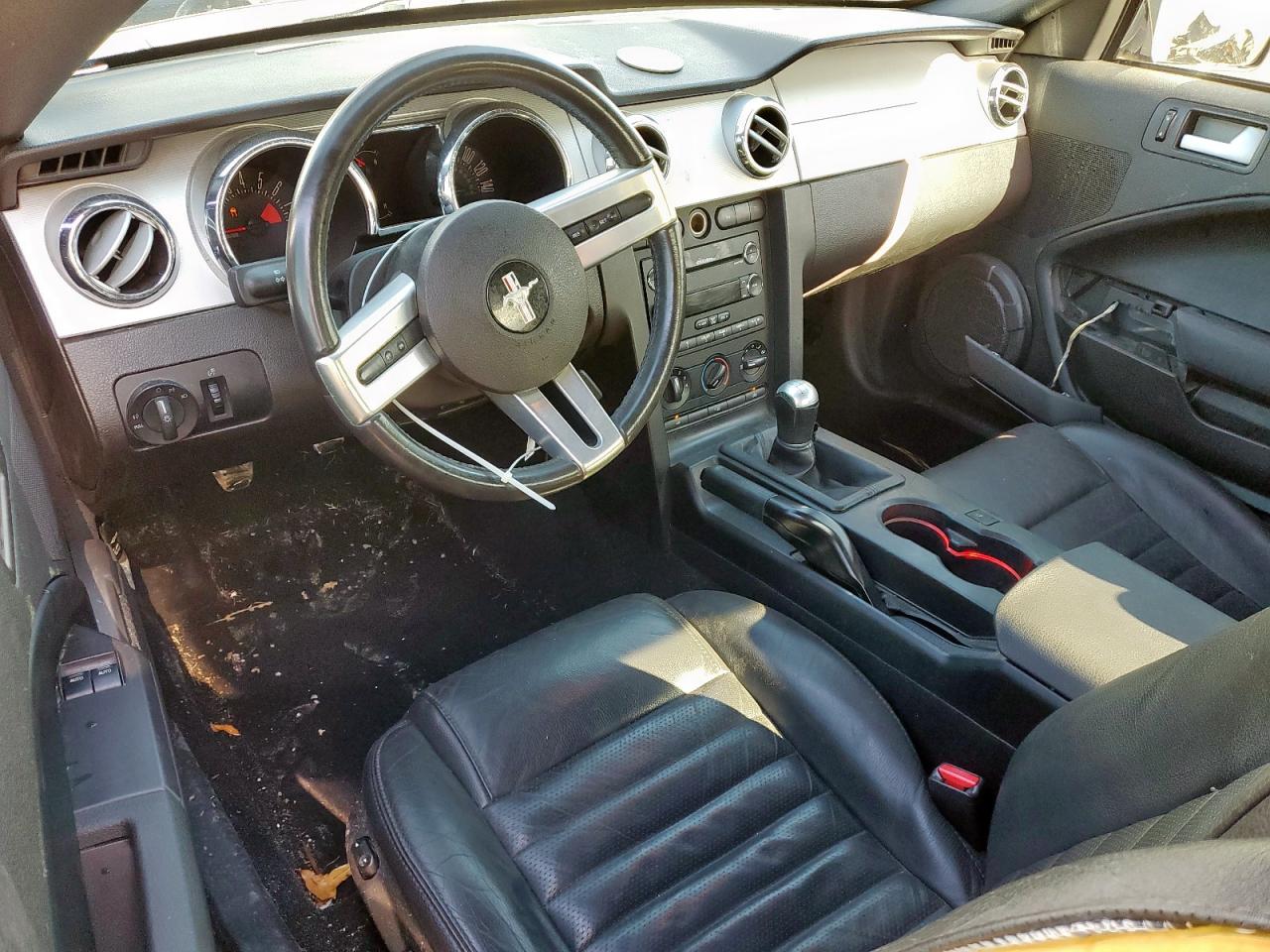 2009 Ford Mustang Gt VIN: 1ZVHT82H195106031 Lot: 81744055