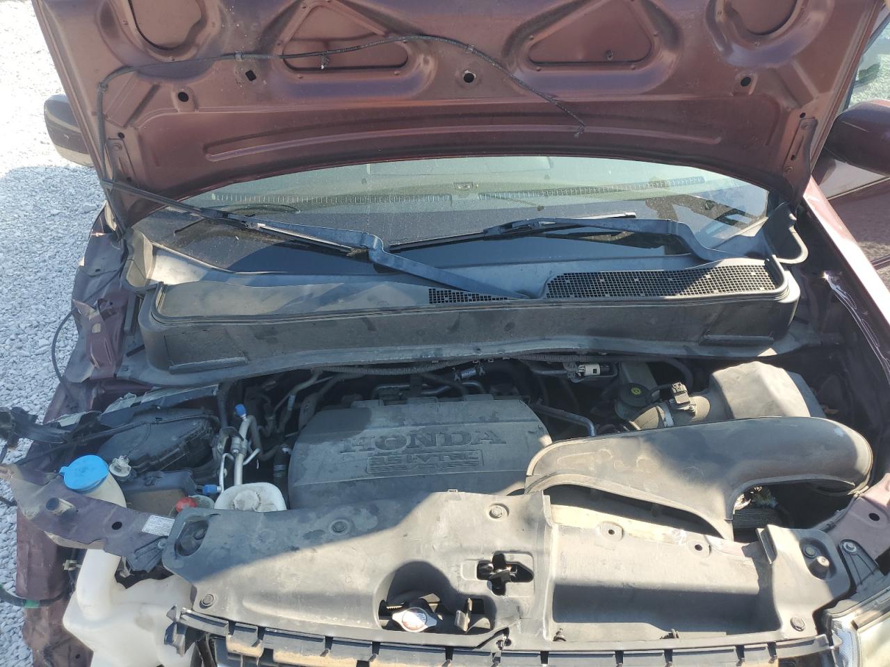 2013 Honda Pilot Exl VIN: 5FNYF3H56DB024281 Lot: 80916205