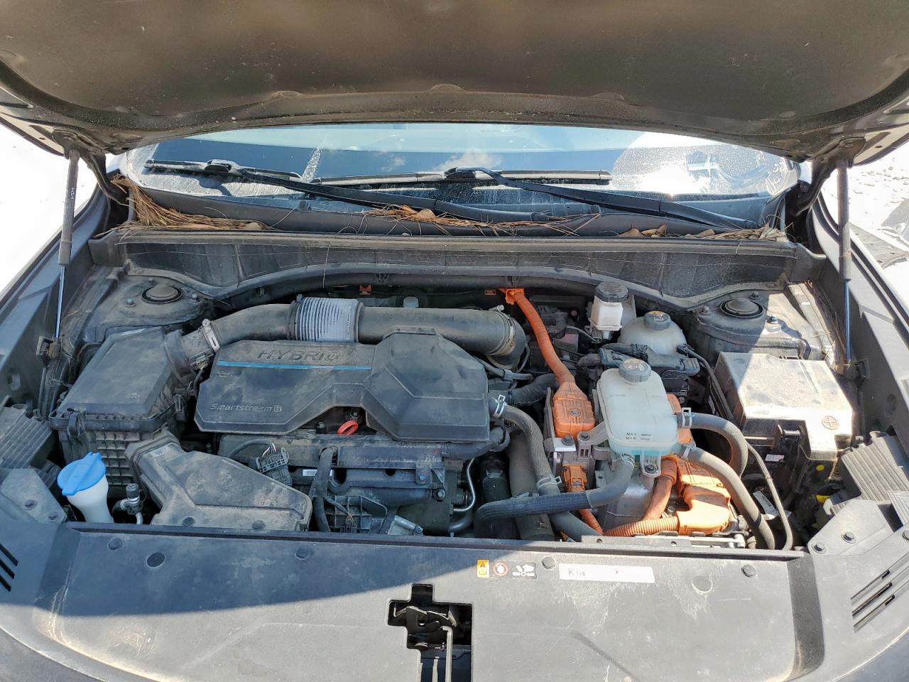 2022 Kia Sorento Sx Prestige VIN: KNDRMDLH3N5078545 Lot: 80895145