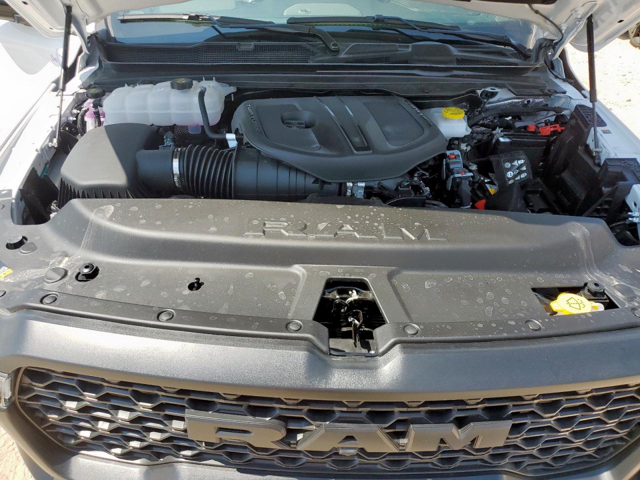 2025 Ram 1500 Rebel VIN: 1C6SRFLP7SN724310 Lot: 71504145