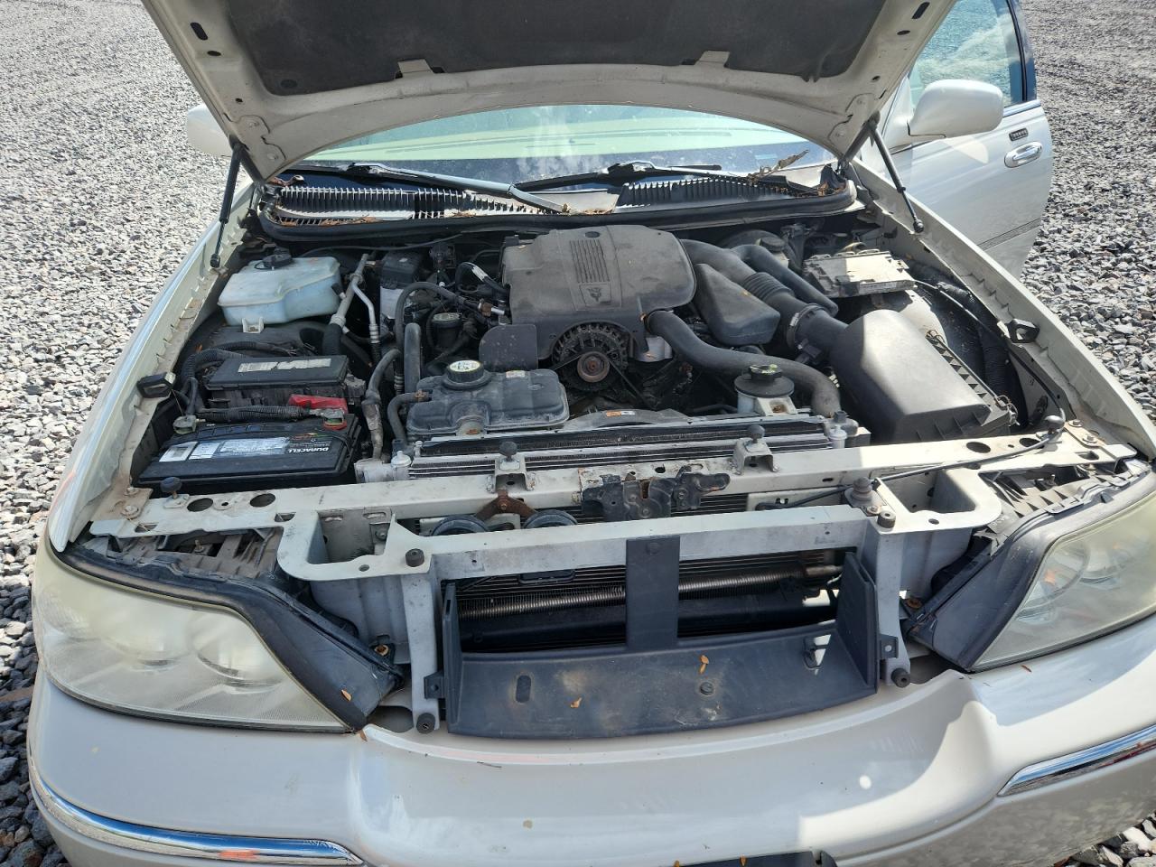 2006 Lincoln Town Car Signature VIN: 1LNHM81W56Y628067 Lot: 84255225