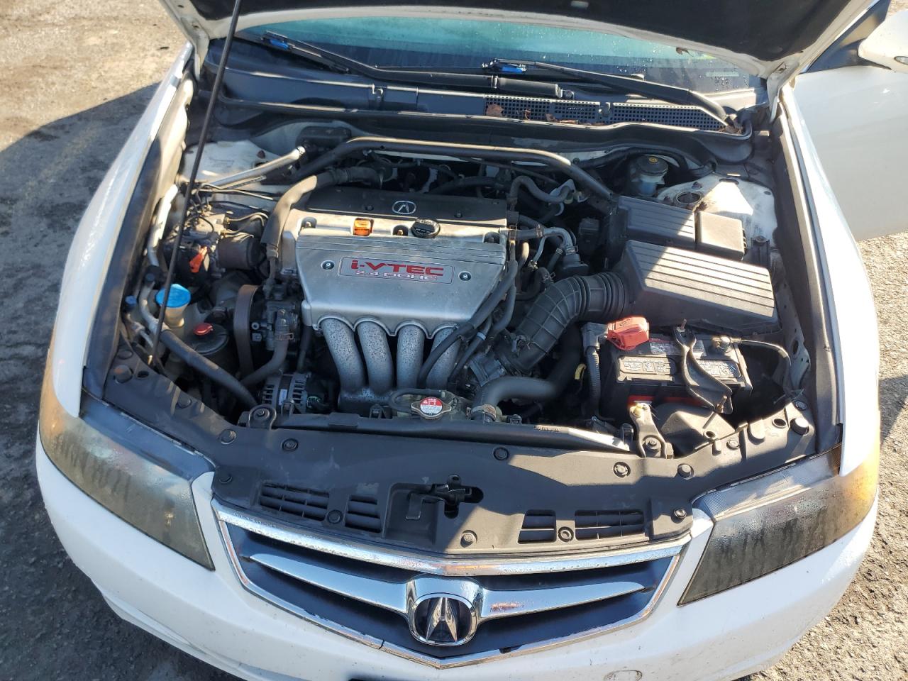 2008 Acura Tsx VIN: JH4CL96898C021931 Lot: 84169145