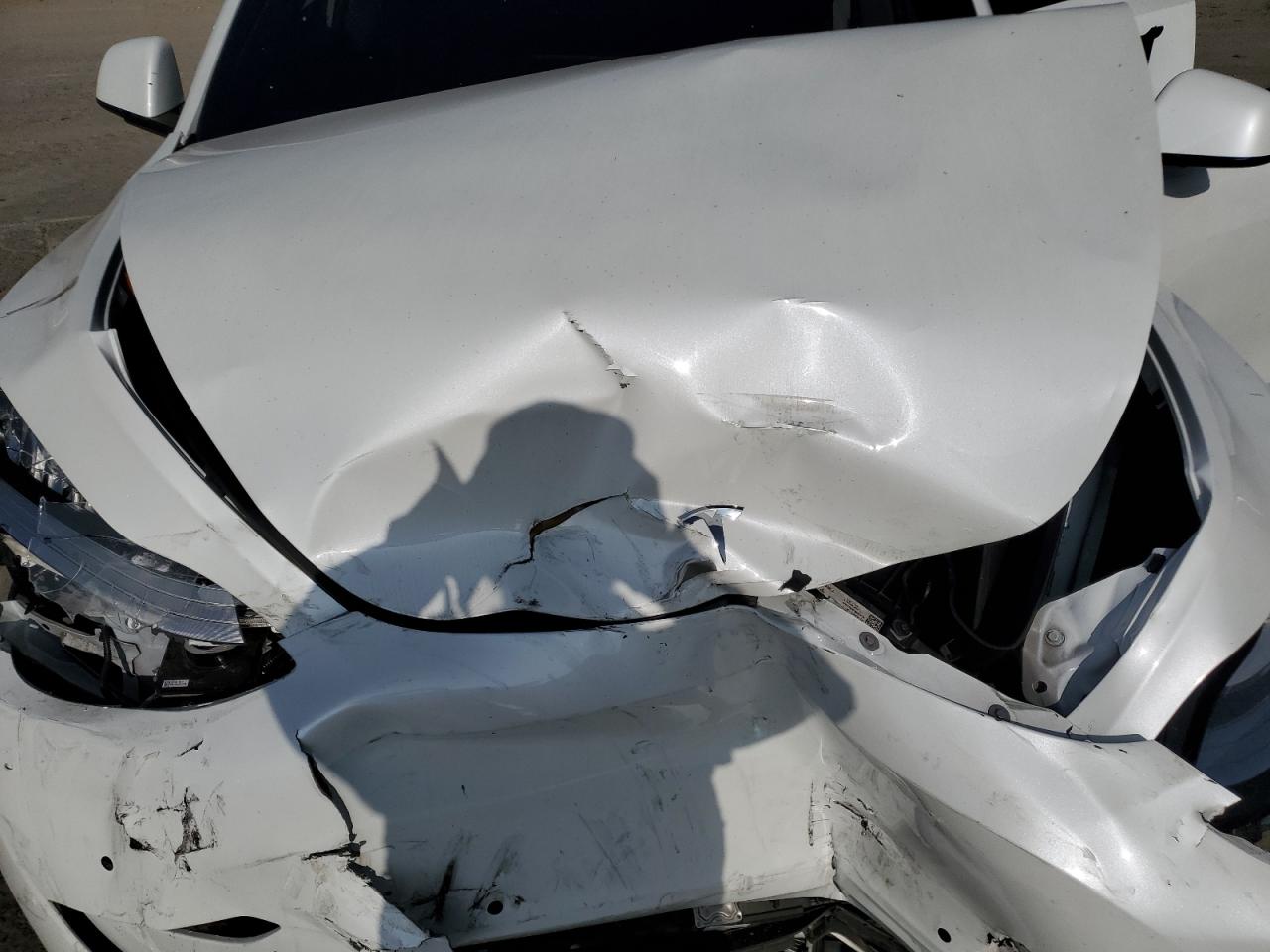 2020 Tesla Model Y VIN: 5YJYGDEE4LF019022 Lot: 71543735