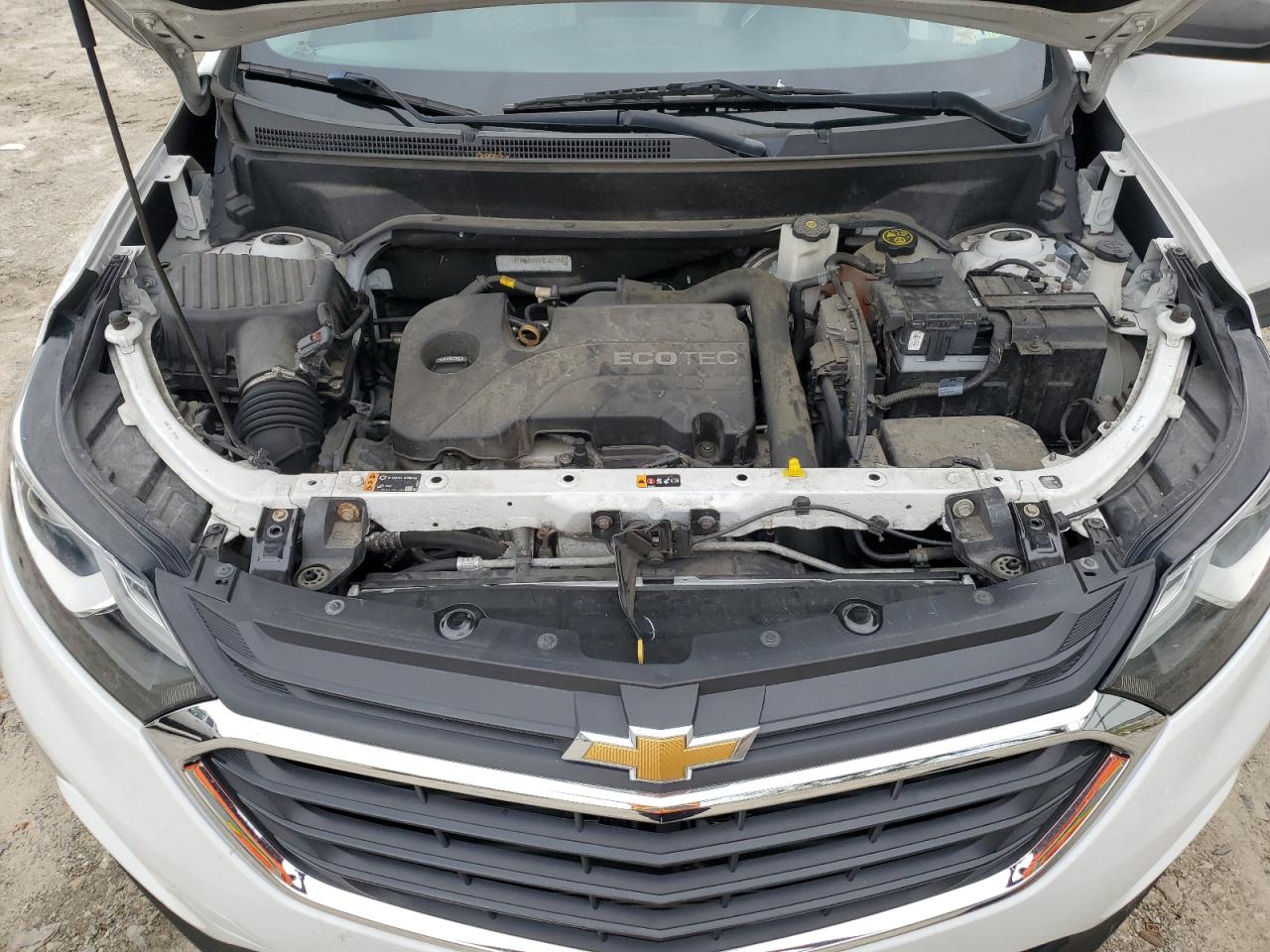 2019 Chevrolet Equinox Ls VIN: 2GNAXSEV3K6263911 Lot: 84244405