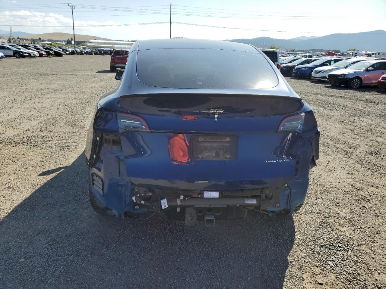2022 Tesla Model Y VIN: 7SAYGDEE7NF369556 Lot: 81505295