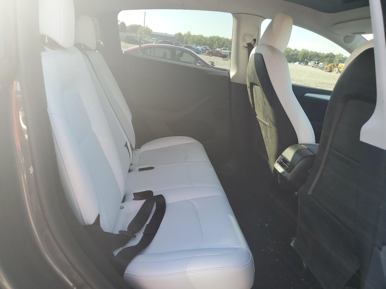 2023 Tesla Model Y VIN: 7SAYGDEE3PA166793 Lot: 81805425