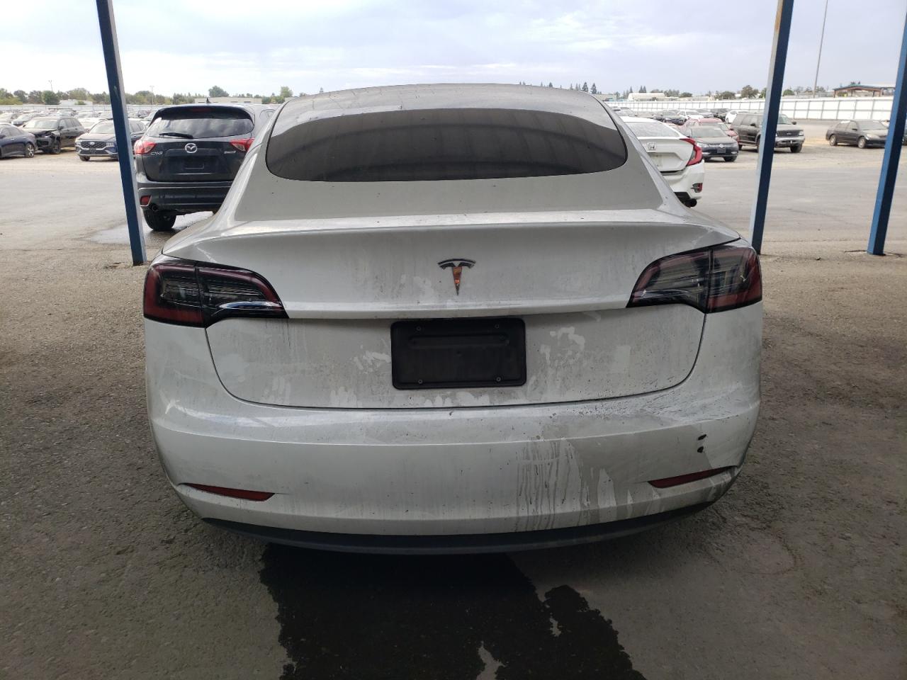 2023 Tesla Model 3 VIN: 5YJ3E1EA3PF578823 Lot: 82136335